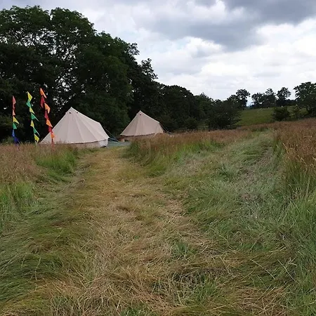Stargazer Bell Tent - Hang Out Zone Campingplads *